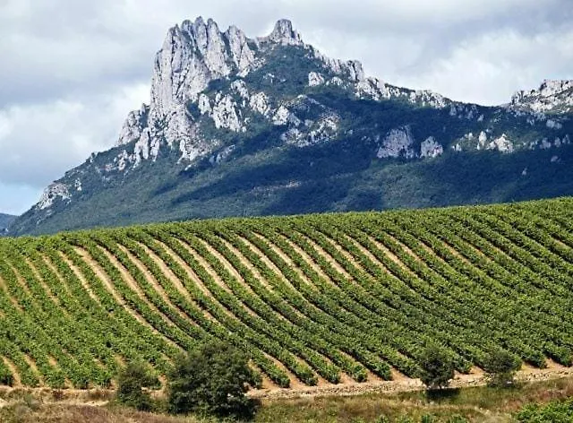 Gaztainondoak Lanciego