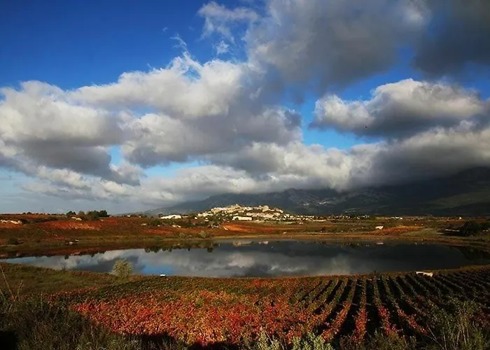 Gaztainondoak * Lanciego