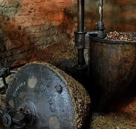 Gaztainondoak Apartamento *