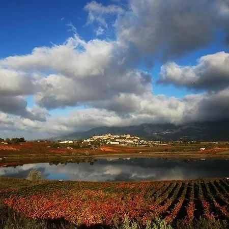 Gaztainondoak * Lanciego